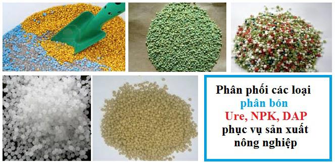 Phân phối các loại phân  bón Ure, NPK, DAP phục vụ sản xuất nông nghiệp